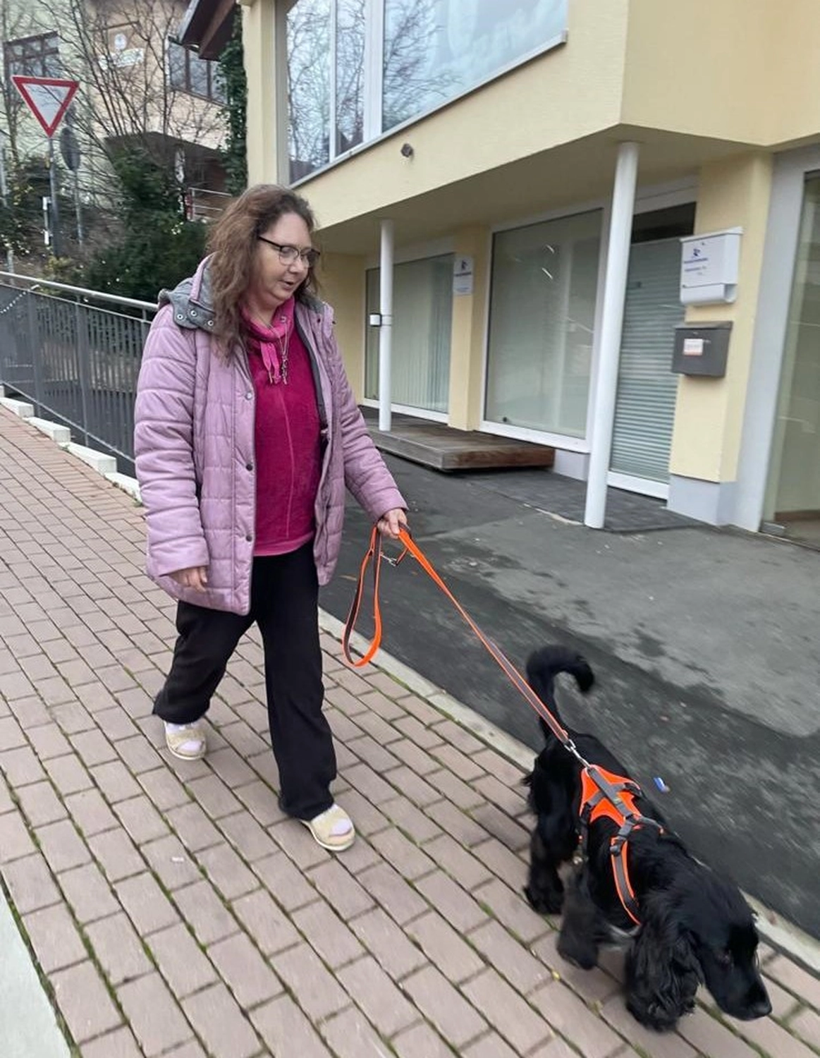 Soziale Teilhabe Kilian und Partner - sozialpädagogische Hilfe - eine Person, die in einer Fußgängerzone mit dem Hund spazieren geht