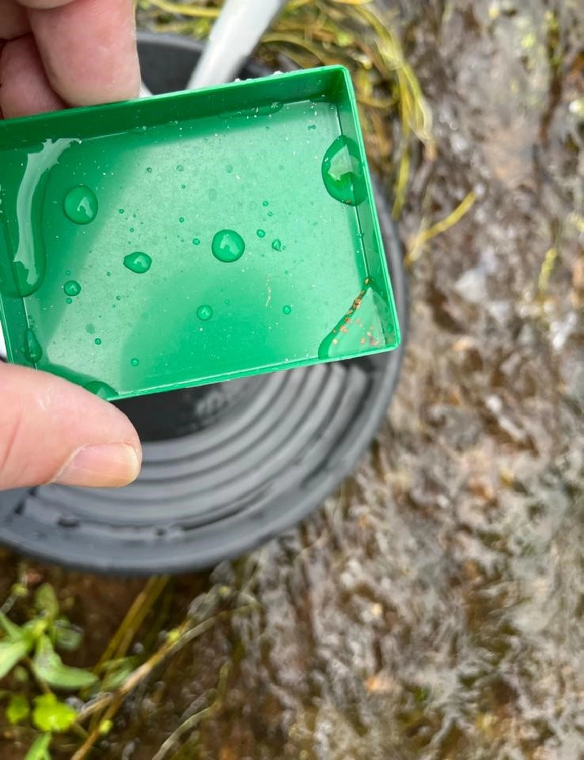 Soziale Teilhabe Kilian und Partner - sozialpädagogische Hilfe -Goldklassierersieb, das in Goldwaschanlagen verwendet wird, um größere Steine ​​von feinerem Sand und Gold zu trennen