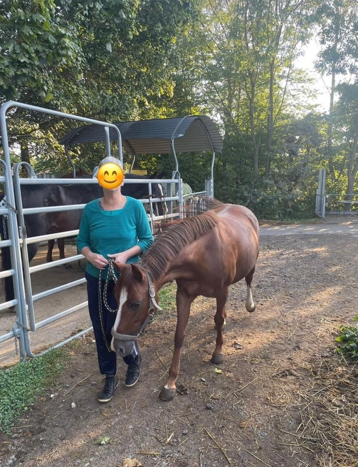 Soziale Teilhabe Kilian und Partner - sozialpädagogische Hilfe - ein Mensch mit Pferd