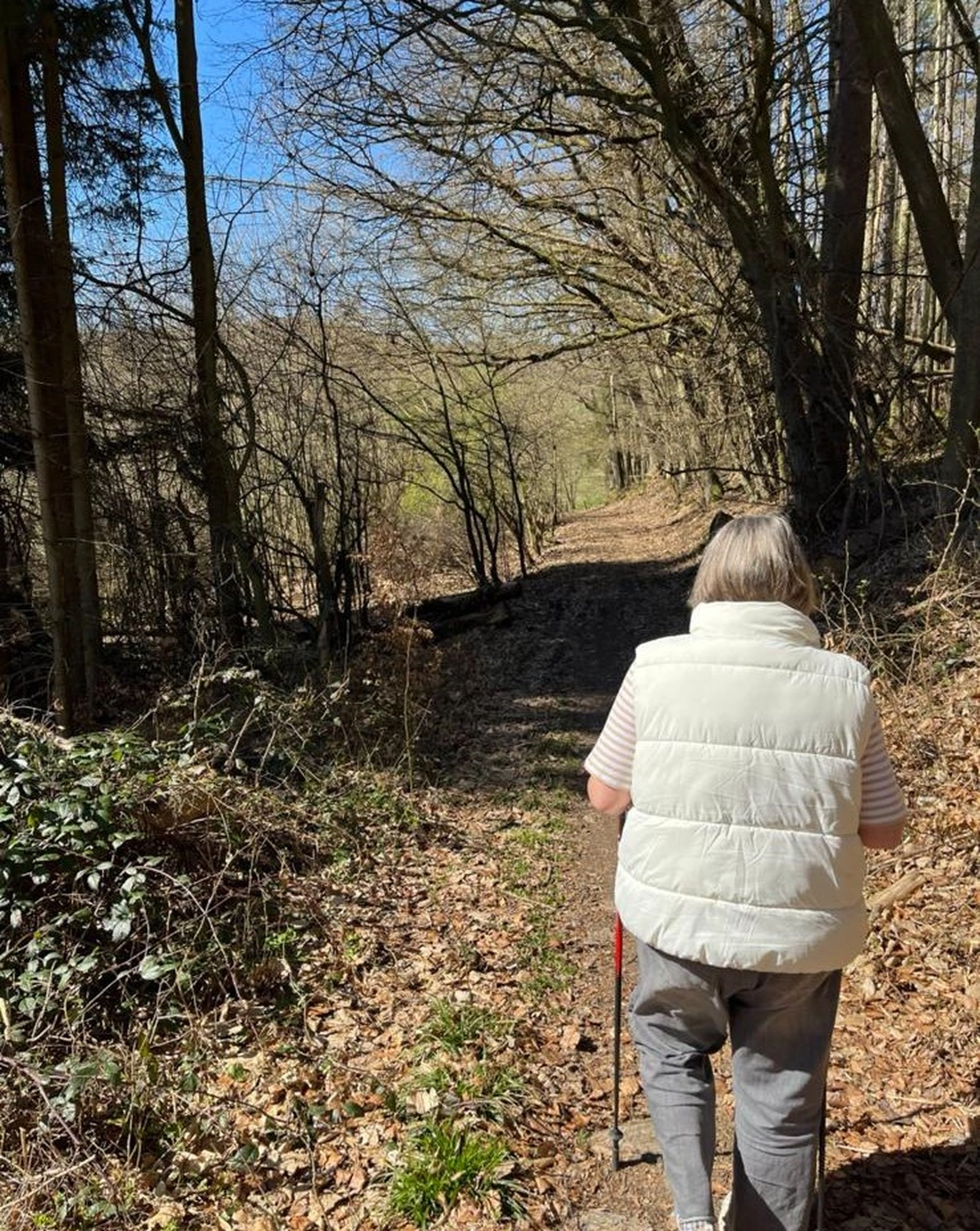 Soziale Teilhabe Kilian und Partner - sozialpädagogische Hilfe - eine Person genießt einen Spaziergang entlang eines Waldweges