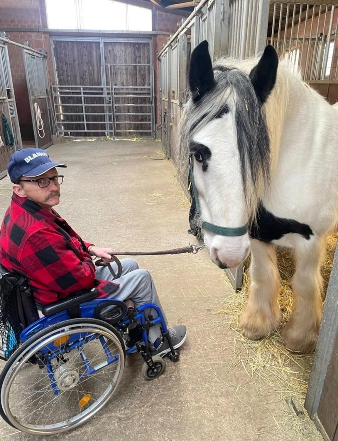 Soziale Teilhabe Kilian und Partner – sozialpädagogische Hilfe – eine Person im Rollstuhl interagiert mit einem Pferd in einem Stall