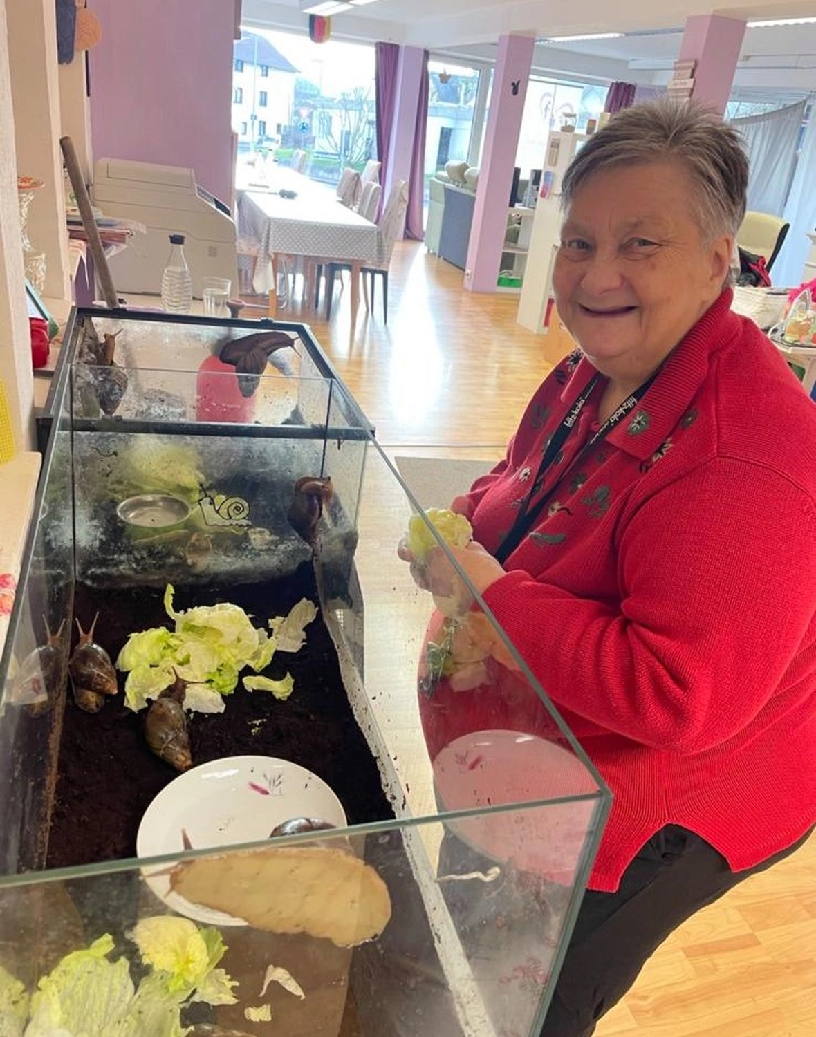 Soziale Teilhabe Kilian und Partner - sozialpädagogische Hilfe - eine Person, die sich in einem großen Glasgehege um Hausschnecken kümmert