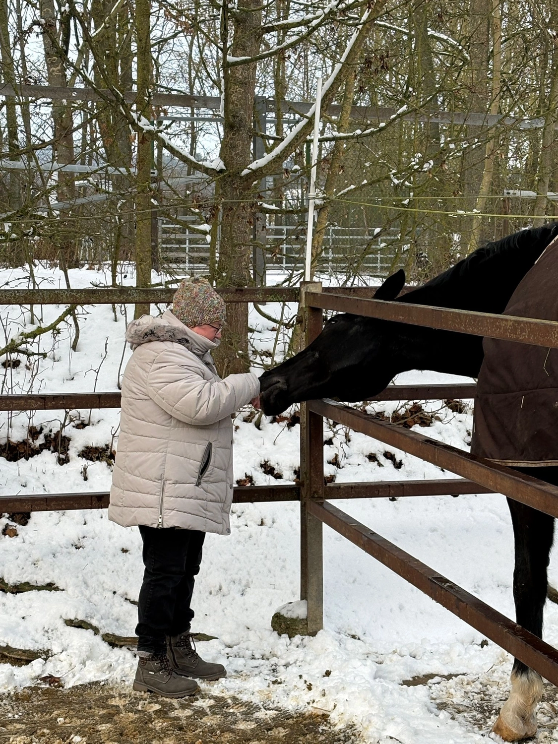 Soziale Teilhabe Kilian und Partner – sozialpädagogische Hilfe – eine Person interagiert mit einem Pferd in einer verschneiten Umgebung